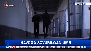 Havoga sovurilgan umr (Toshkent)