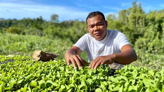 SIGURADO MILYONG MILYONG KITA! From 6 to 28 HECTARES ALL STAGES, ALL YEAR ROUND VEGETABLE FARMING