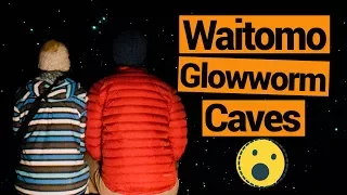 ✨🐛 Waitomo Glowworm Caves  - New Zealand's Biggest Gap Year – Backpacker Guide New Zealand