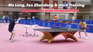 Ma Long, Fan Zhendong, Wang Chuqin, Lin Gaoyuan Training | Preparation for 2023 Asian Games