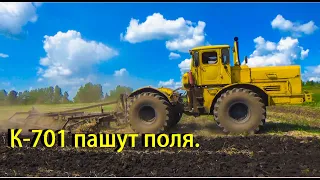 Кировцы К-701 пашут поля на пары.