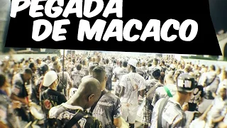 Vai-Vai  - Pegada de Macaco Ensaio Técnico 16/01/2015