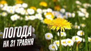 🌞 Погода на 21 травня: розпочалося метеорологічне літо!