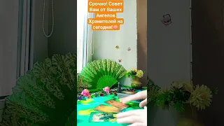 Срочно! 🪷Совет Вам от Ангелов Хранителей на сегодня! Что нужно знать.🌈