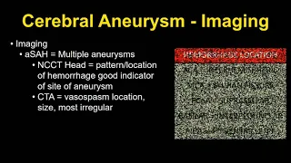 Spectrum of Intracranial Arterial and Venous Lesions