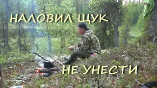 ЩУКА НА КАЖДЫЙ ЗАБРОС. НОЧЕВКА В ТАЙГЕ.