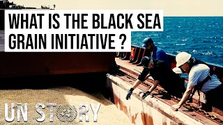 What is the Black Sea Grain Initiative? | 5 Facts | The UN Explained