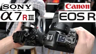 Canon EOS R vs Sony A7R III