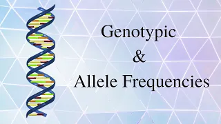 Genotypic and allele frequencies