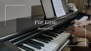 Für Elise em lá menor, de Beethoven