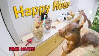 Movie Squirrels Nut Bar 3 - Happy Hour