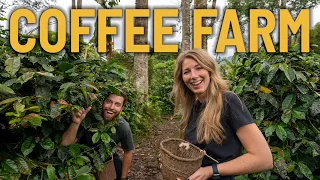 The ULTIMATE SALENTO COFFEE TOUR - we visited a coffee plantation in COLOMBIA