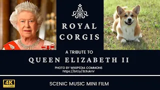 ROYAL CORGIS 4K UHD - Queen Elizabeth’s Favourite Dogs with Relaxing Music