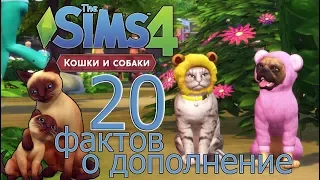 TS4l20 ФАКТОВ О ДОПОЛНЕНИИ "КОШКИ И СОБАКИ"