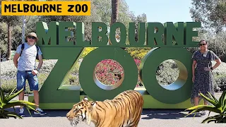 Melbourne Zoo  l  Melbourne I 2023