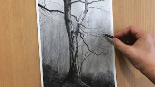 Twisted Branches Charcoal Drawing