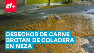 Brotan desechos de carne por coladeras en Neza - N+