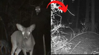 Top 7 SCARIEST Ghost Videos of 2022 That Will Make You Shiver