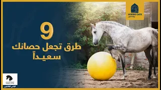 9 طرق تجعل حصانك سعيداً