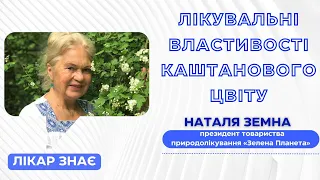 ЛІКАР ЗНАЄ: Наталя Земна про лікувальні властивості каштанового цвіту