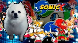 SONIC X - 'GOTTA GO FAST' em CACHORRÊS | NOSTALGIA