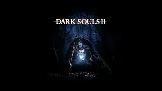 Dark souls 2 SotFS #4 Маг Порчи