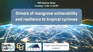 EDS Seminar Series 6/28/22 - Drivers of mangrove vulnerability and resilience to tropical cyclones