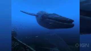 Up Close With an Enormous Whale in theBlu: Encounter