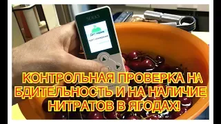 СтопАптека ПРОВЕРИЛА КЛУБНИКУ И ЧЕРЕШНЮ НА НАЛИЧИЕ НИТРАТОВ  В МАЕ!