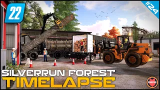 🇺🇸 Making Money - Over $250.000 By Selling Containers Full Of Logs ⭐ FS22 Silverrun Forest Timelapse
