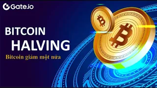 Bitcoin Halving là gì?