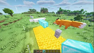 1000 Minecraft Foxes VS Chicken