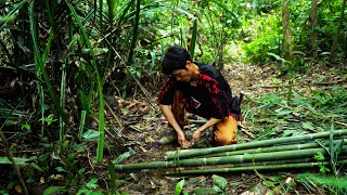 #8 Survival Challenges - Primitive Technology: Building a Medieval Fence