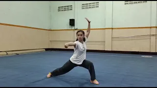 Wushu Chang Quan Junior C