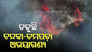 Fire Near Chandaka- Massive Blaze Engulfs Bagharakhol Forest