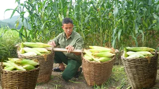 Gardening, harvesting agricultural products like bamboo shoots and corn to sell at the market 184