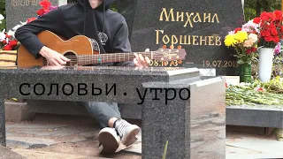 Соловьи. Утро (Михаил Горшенев)|акустический кавер на гитаре