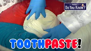 How is Toothpaste made? 🦷 Maddie's Do You Know? 👩