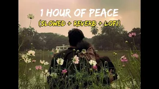 1 Hour Of Peace (Slowed + Reverb + Lofi)