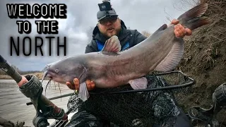 The Colossal Channel Catfish Of The Red River