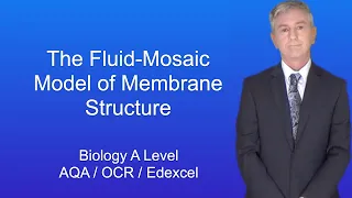 A Level Biology Revision "The Fluid-Mosaic Model of Membrane Structure"