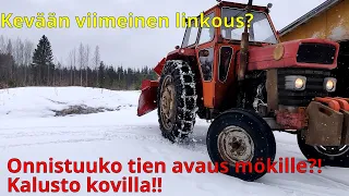 Kevään viimeinen linkous?