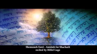 Shemoneh Esrei Amidah - Weekday Shacharit.