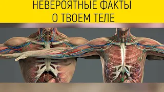 ТОП САМЫХ НЕВЕРОЯТНЫХ ФАКТОВ О ЧЕЛОВЕЧЕСКОМ ТЕЛЕ