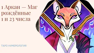 1 Аркан — Маг Рождённые 1 и 23 числа 🧙 #нумерология #таро