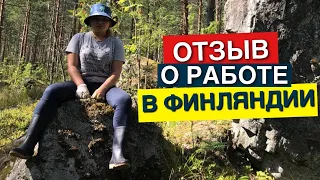 Работа в Финляндии. Заработок на сборе клубники. Реальный