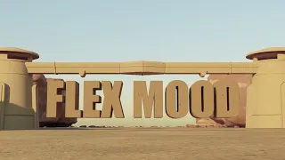 SRNO & 3robi - Flex Mood (Official Visualizer)