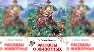 Жизнь и повадки диких животных #2 аудиосказка слушать онлайн