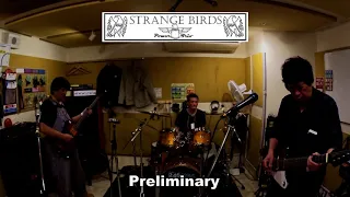 Little Wing - Strange Birds - Preliminary Clip