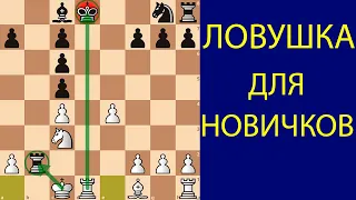 Ловушка для начинающих шахматистов в которую точно попадутся. Шахматы ловушки